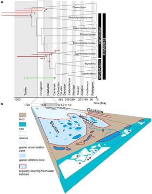 Cryogenian Glacial Habitats as a Plant Terrestrialisation Cradle – The Origin of the Anydrophytes and Zygnematophyceae Split